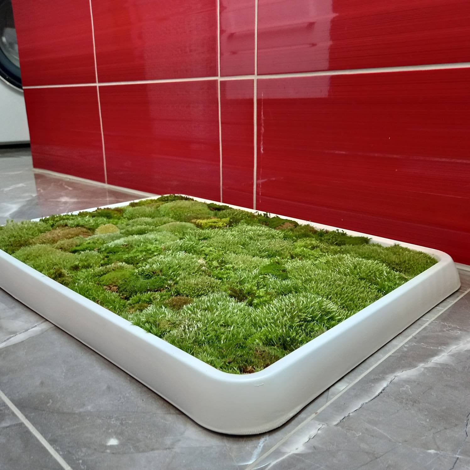 Living Bath Mats: The Moss Carpet Brings the Outdoors Into Your Bathroom