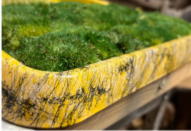 Luxury Live Pole Moss Bath Mat Modern Bath Mats Etsy