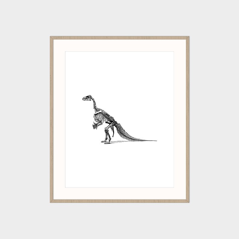 May include: Black and white line drawing of a dinosaur skeleton in a light wood frame.