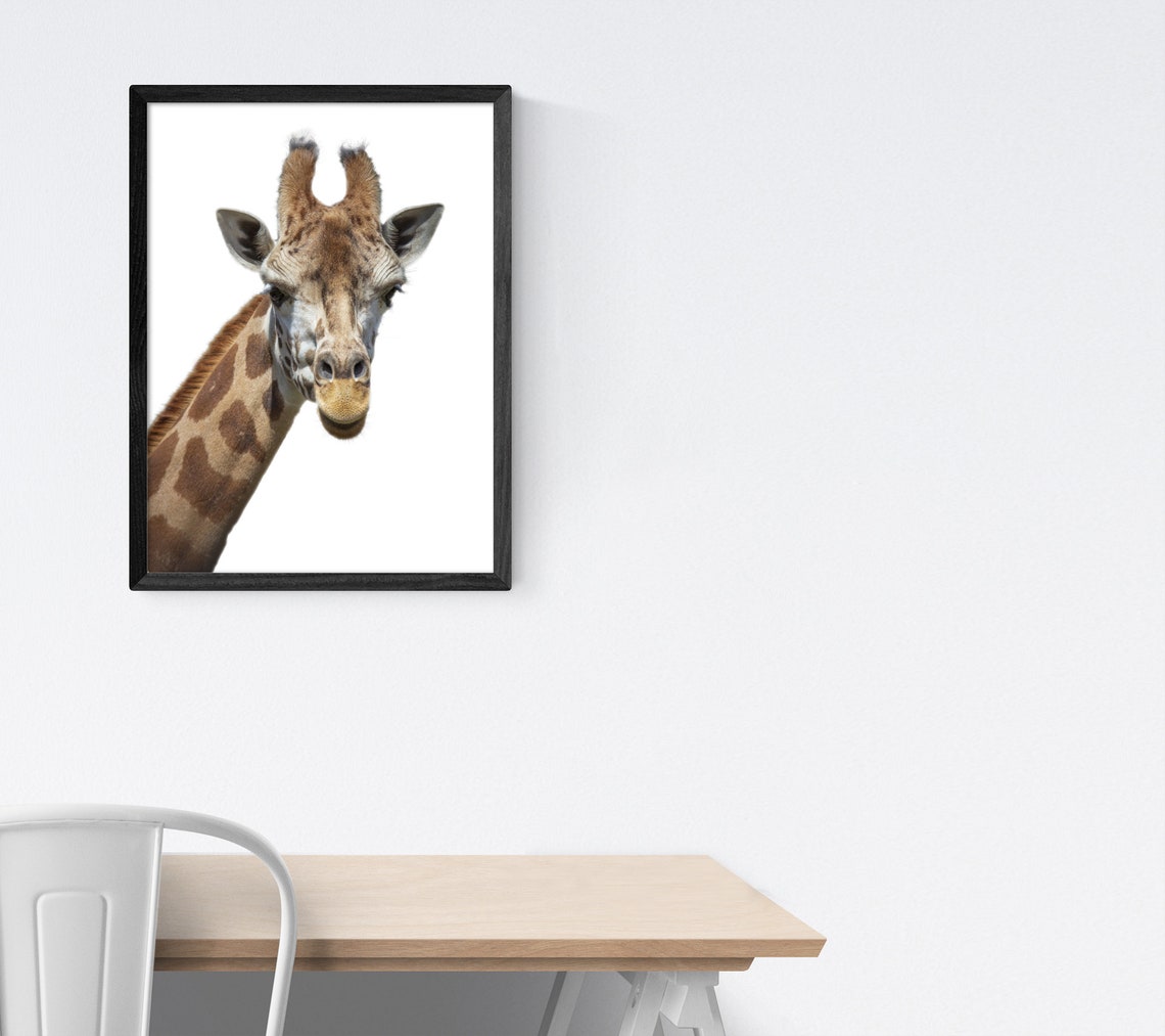 Giraffe Wall Art Printable Wall Art Digital Download | Etsy