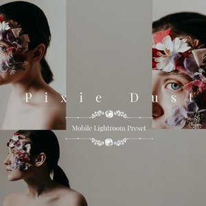 Pixie Dust Mobile Lightroom Preset