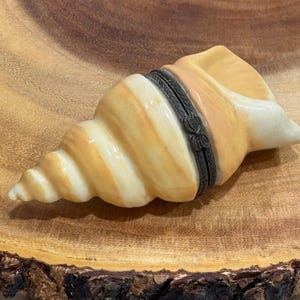 May include: A decorative seashell-shaped trinket box. The box is primarily cream and tan with a dark metal band around the middle. The shell has a spiral design and is resting on a wooden surface.