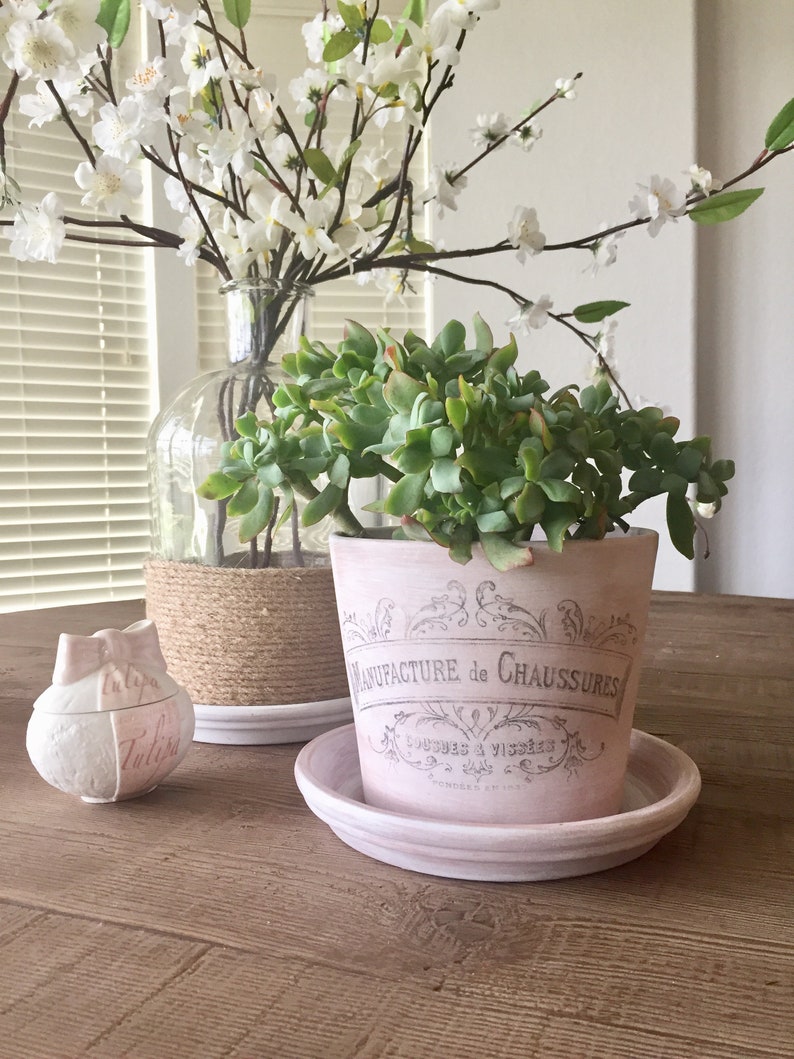 Whitewashed French Inspired Terra Cotta Pot