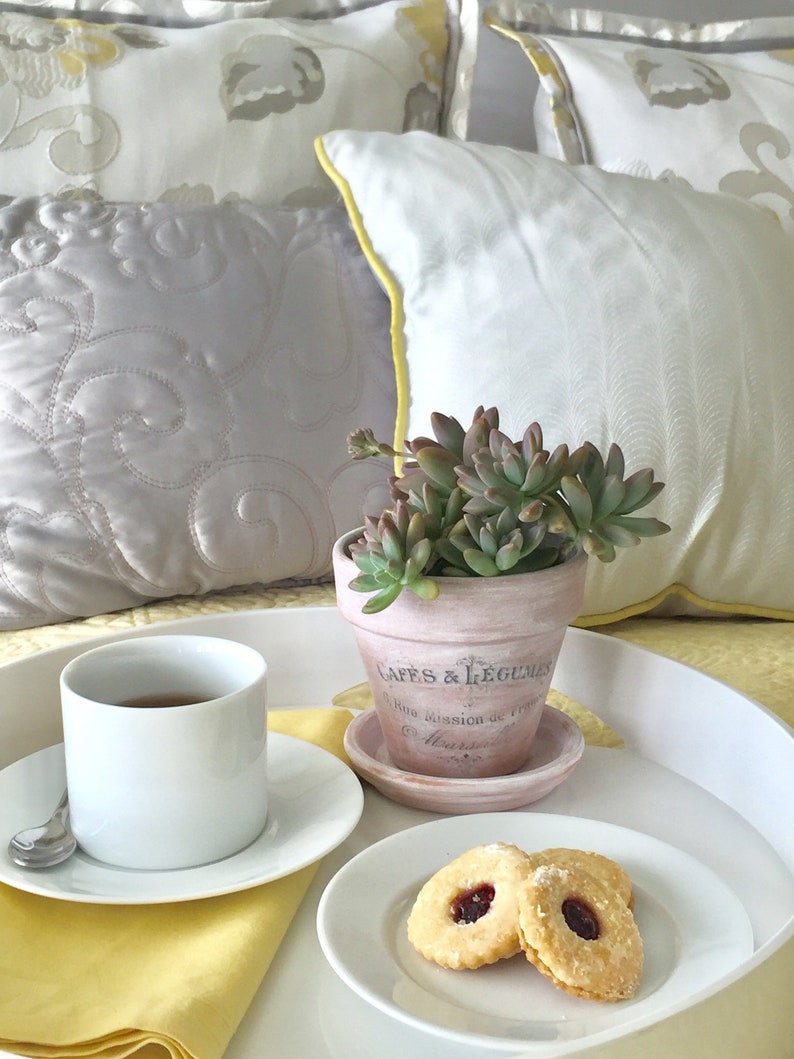 Whitewashed French Inspired Terra Cotta Pot