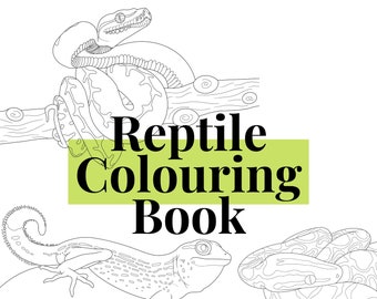 Libro para colorear digital de reptiles dibujados a mano - PDF - ¡Ideal para colorear digitalmente o imprimir! Un regalo ideal para niños y adultos.