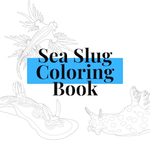 Hand Drawn Sea Slug & Nudibranch Digital Coloring Book - PDF - Great For Both Coloring Digitally and Printing out to Color!
