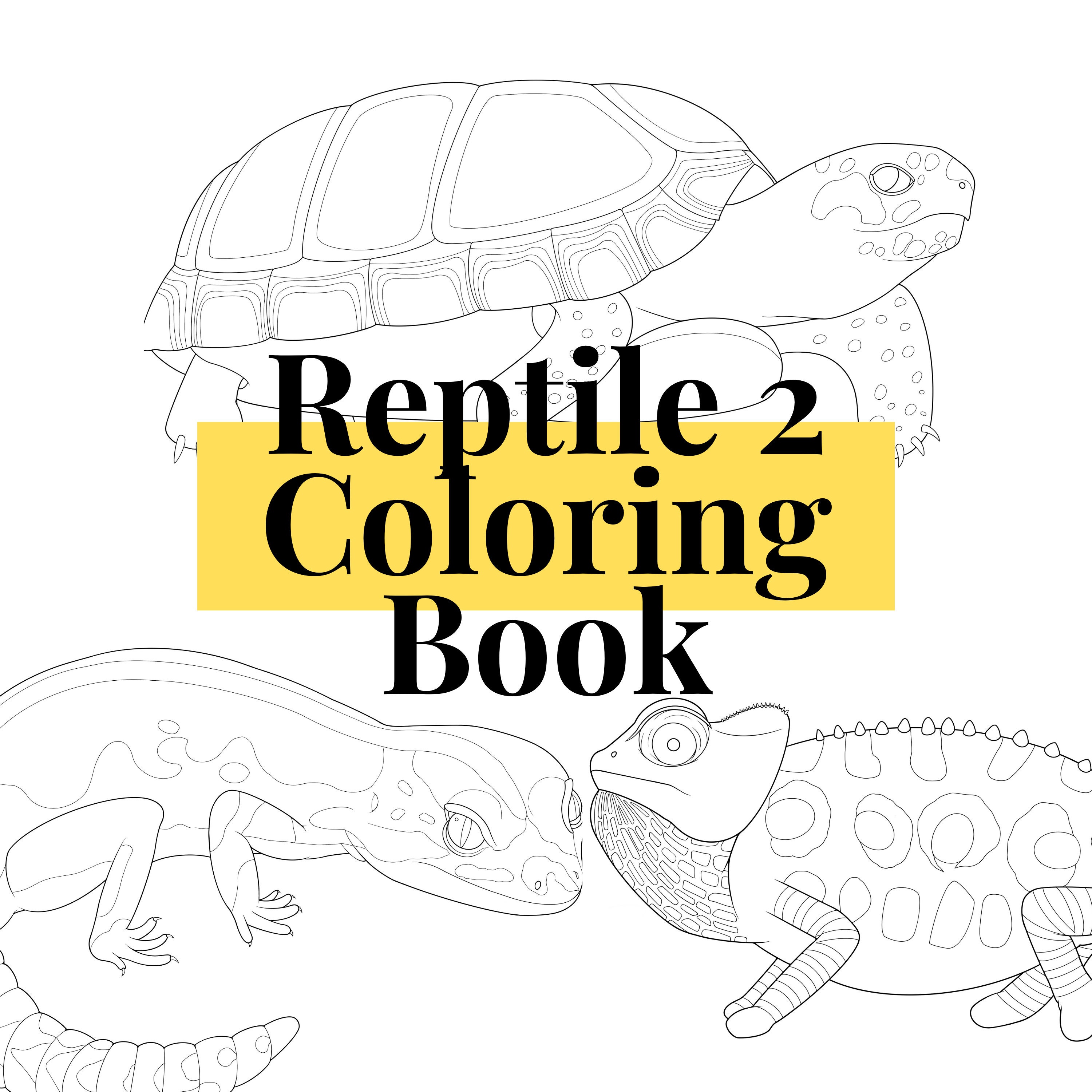 Digital Reptile 2 More Reptiles Coloring Book PDF Downloads Great for ...