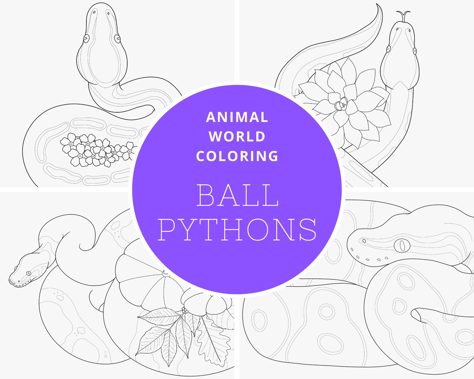 Ball Python Digital Coloring Book - PDF - Great for Both Reptile and ...