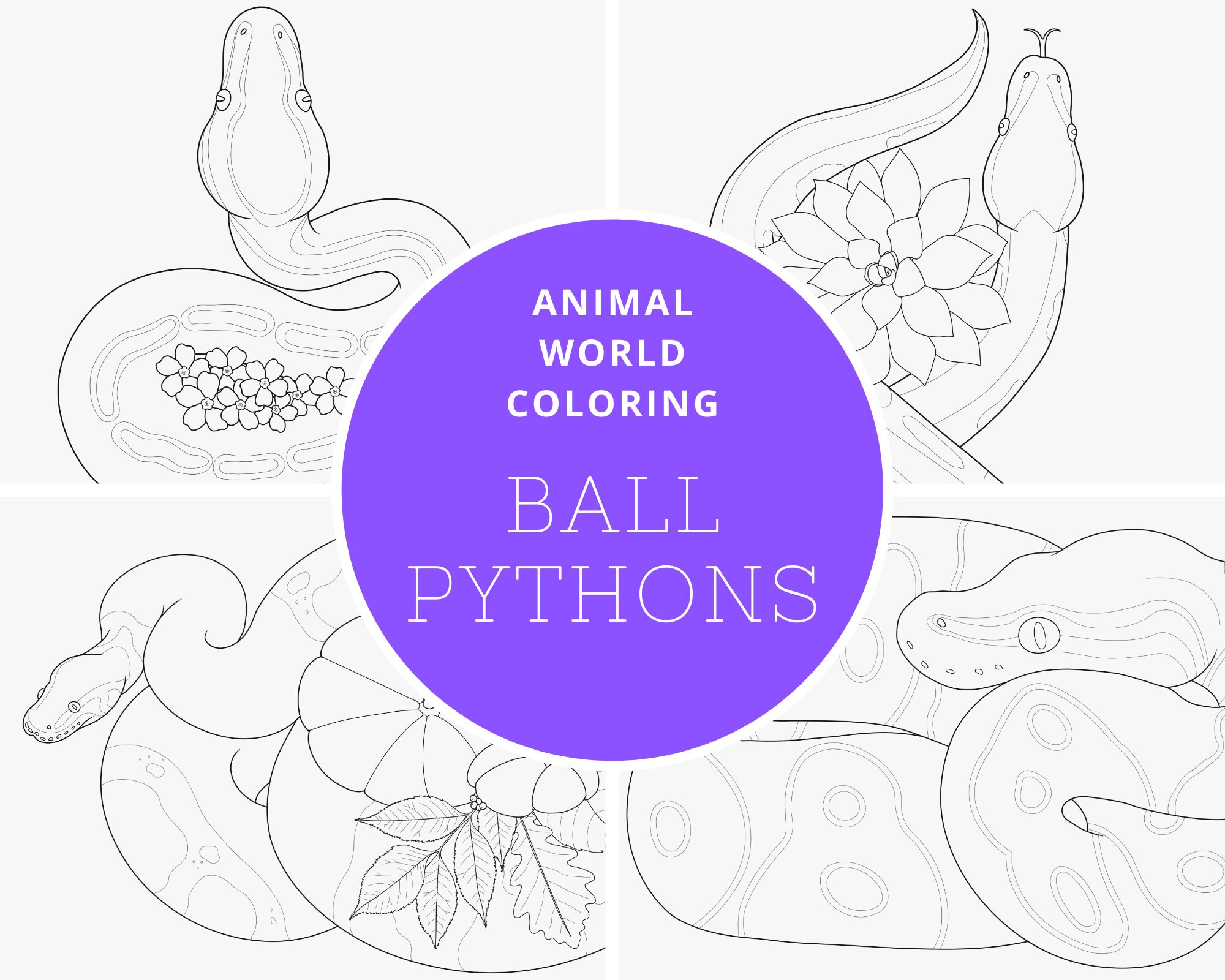Ball Python Digital Coloring Book - PDF - Great for Both Reptile and ...