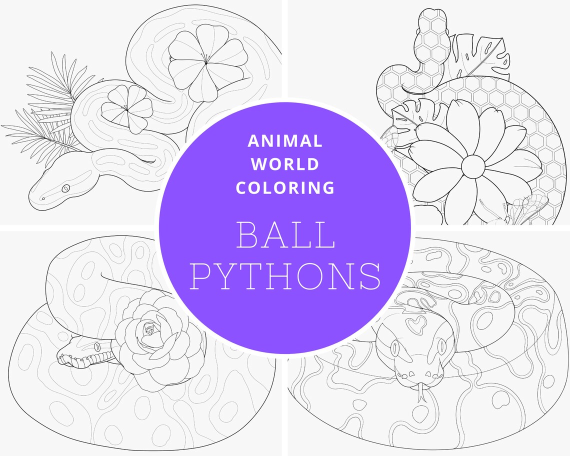 Ball Python Digital Coloring Book - PDF - Great for Both Reptile and ...