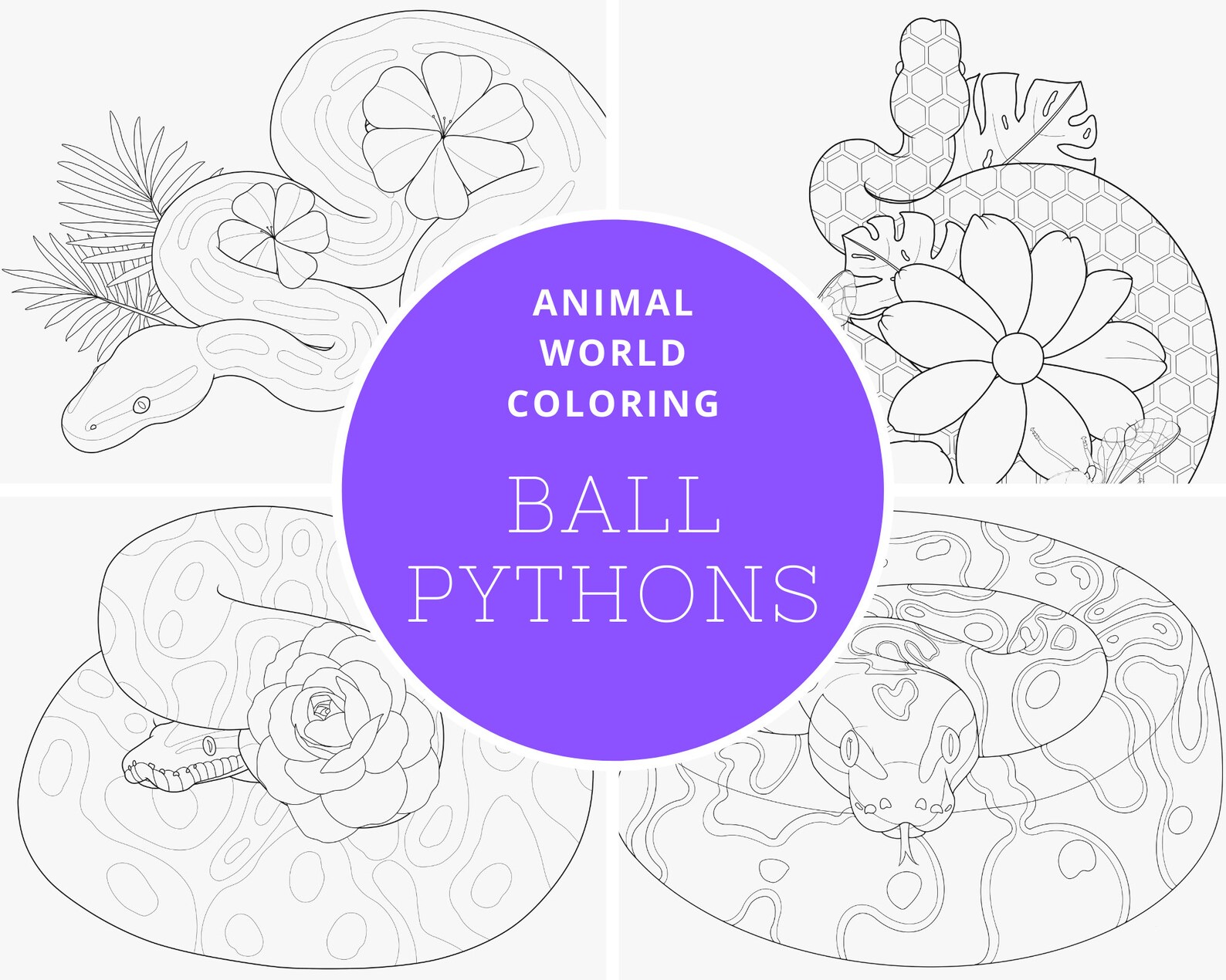 Ball Python Digital Coloring Book - PDF - Great for Both Reptile and ...