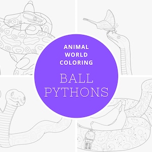 Ball Python Digital Coloring Book - PDF - Great for Both Reptile and ...