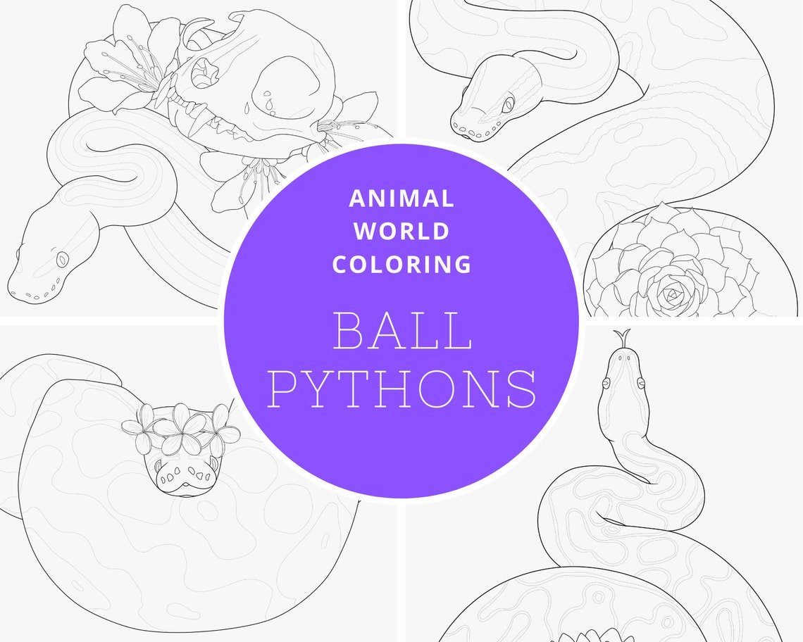 Ball Python Digital Coloring Book - PDF - Great for Both Reptile and ...