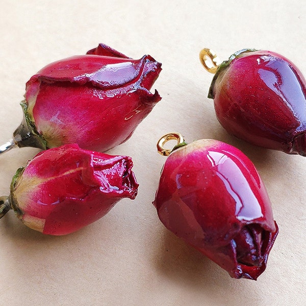 Real Flower Charm 10pcs Crimson rose buds Pressed Flower 1-3cm Resin Pendant Dired Flower earring charm Handmade making jewelry kw0640-17