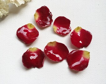 Real Flower Charm 2pcs red pink rose petals Pressed Flower 1-3cm Resin Pendant Dired Flower earring charm Handmade making jewelry kw0560-2