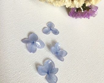 Real Flower Charm 2pcs Toulan Pressed Flower 1-3cm Resin Pendant Dired Flower earring charm Handmade making jewelry kw0568-17