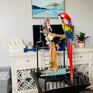 Scarlet Macaw Feather (One Feather)
