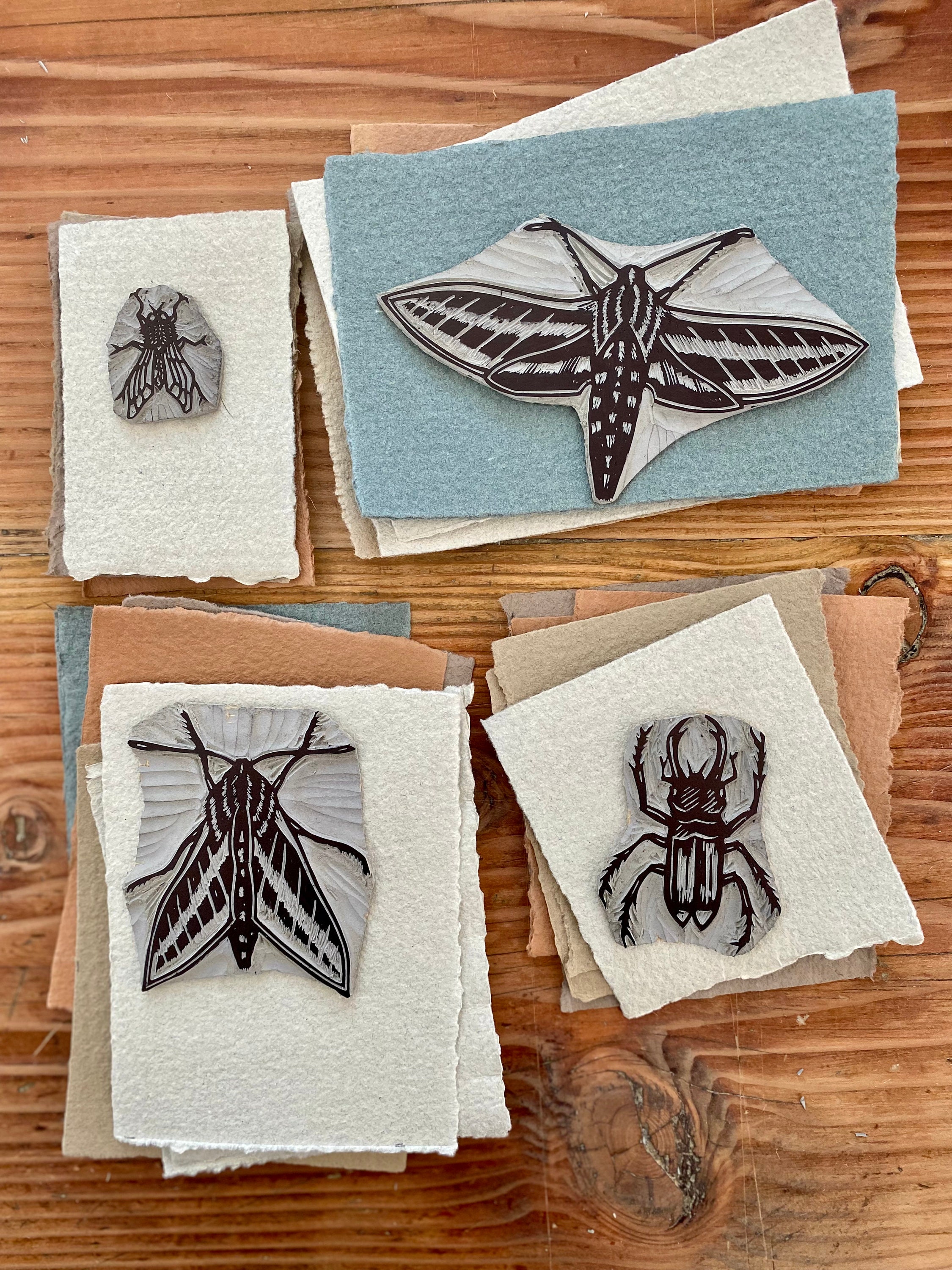 Insect Linocut Insect Art Linocut Mini-prints: Handmade Paper, Cicada, Moth, Beetle ...