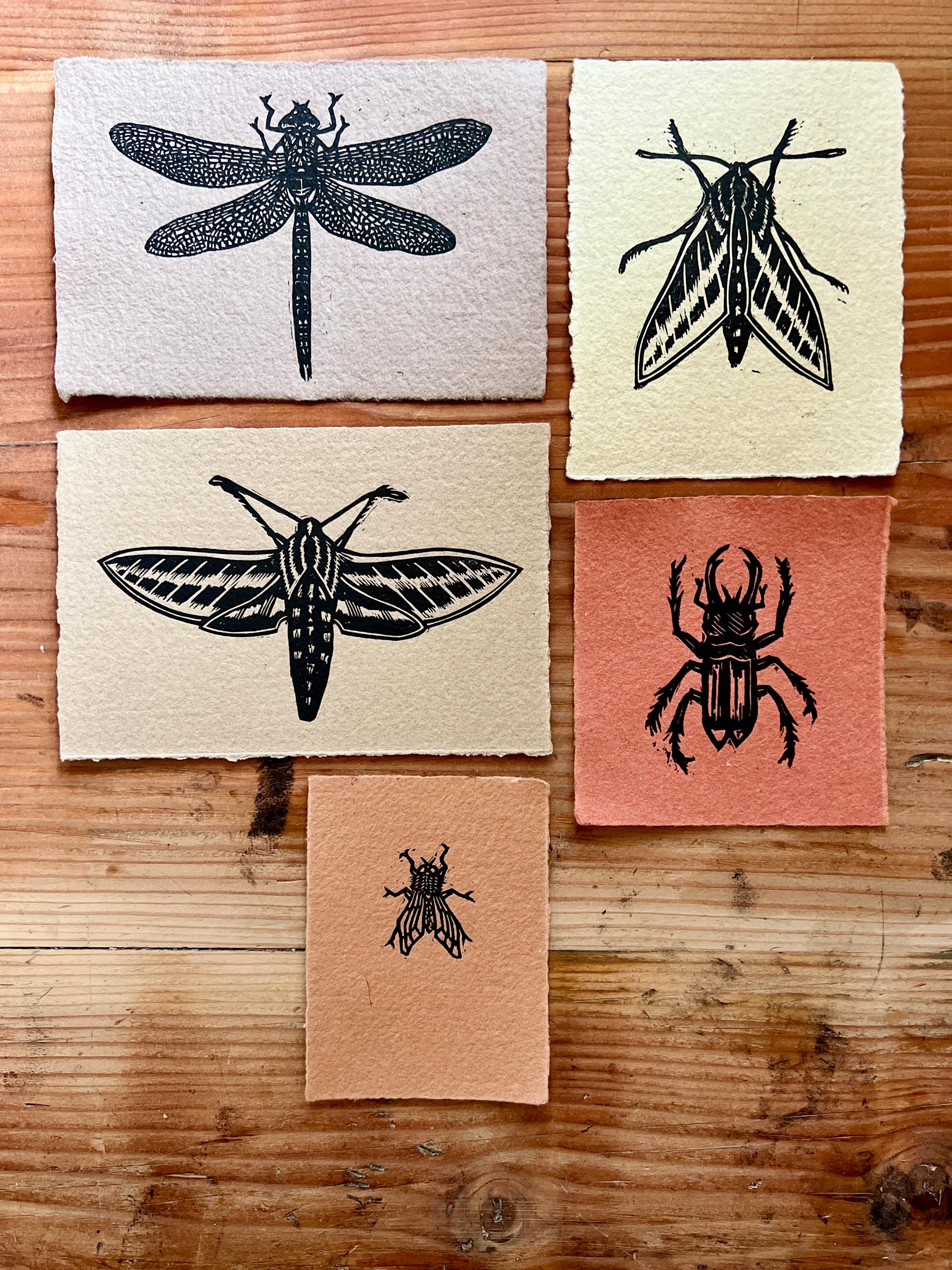 Insect Linocut Insect Art Linocut Mini-prints: Handmade Paper, Cicada, Moth, Beetle ...