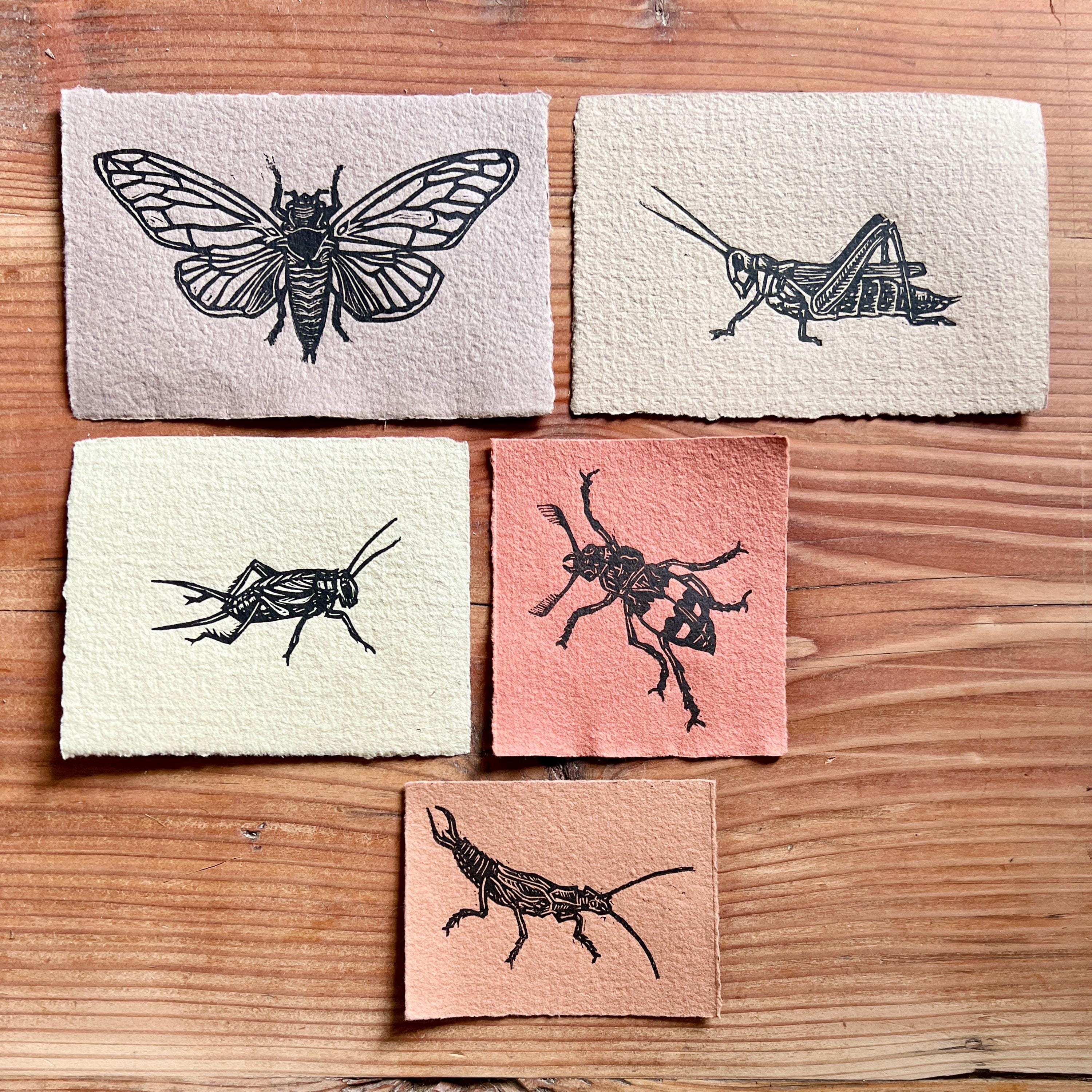 Insect Linocut Insect Art Linocut Mini-prints: Handmade Paper, Cicada, Moth, Beetle ...