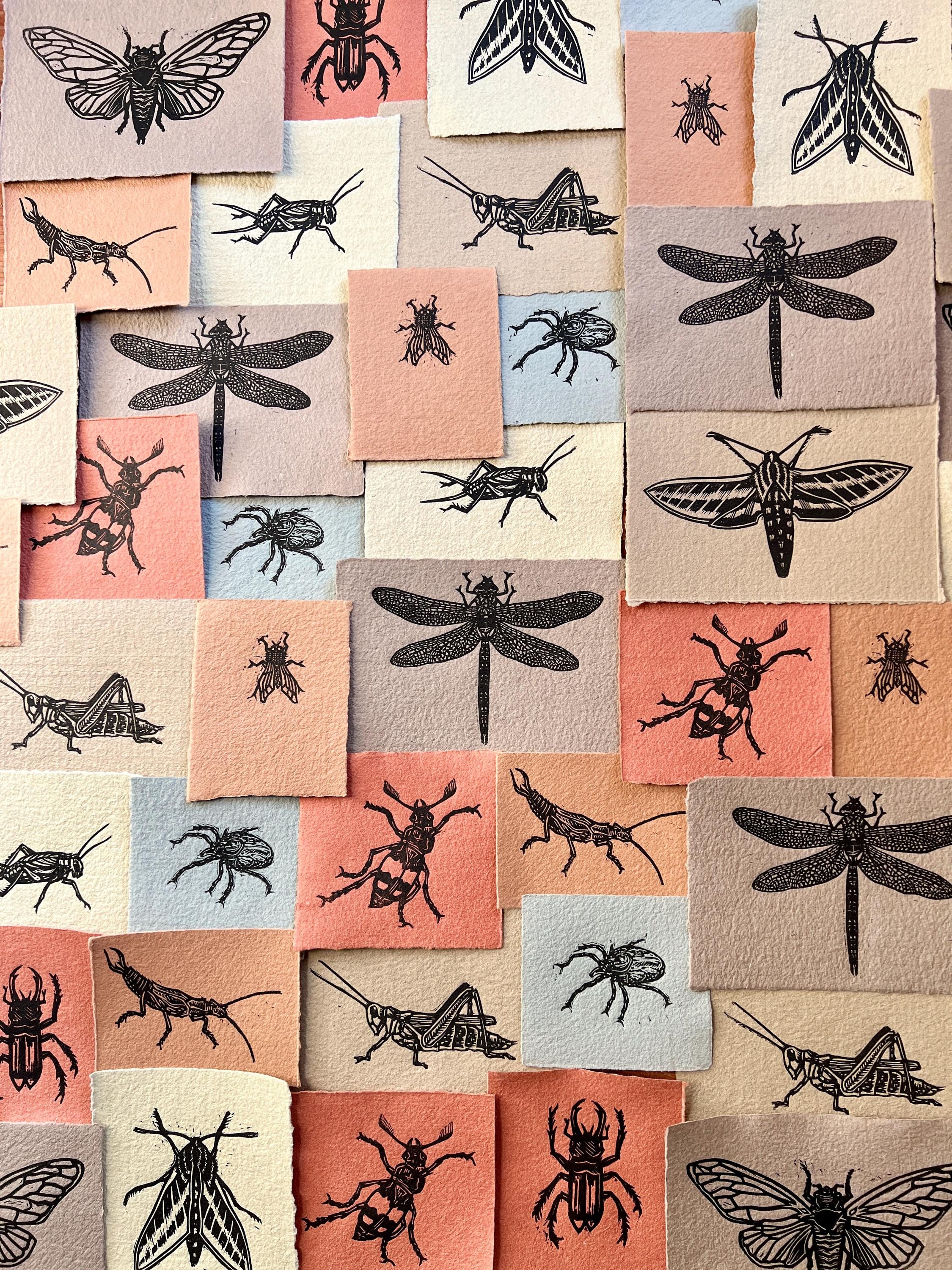 Insect Linocut Insect Art Linocut Mini-prints: Handmade Paper, Cicada, Moth, Beetle ...