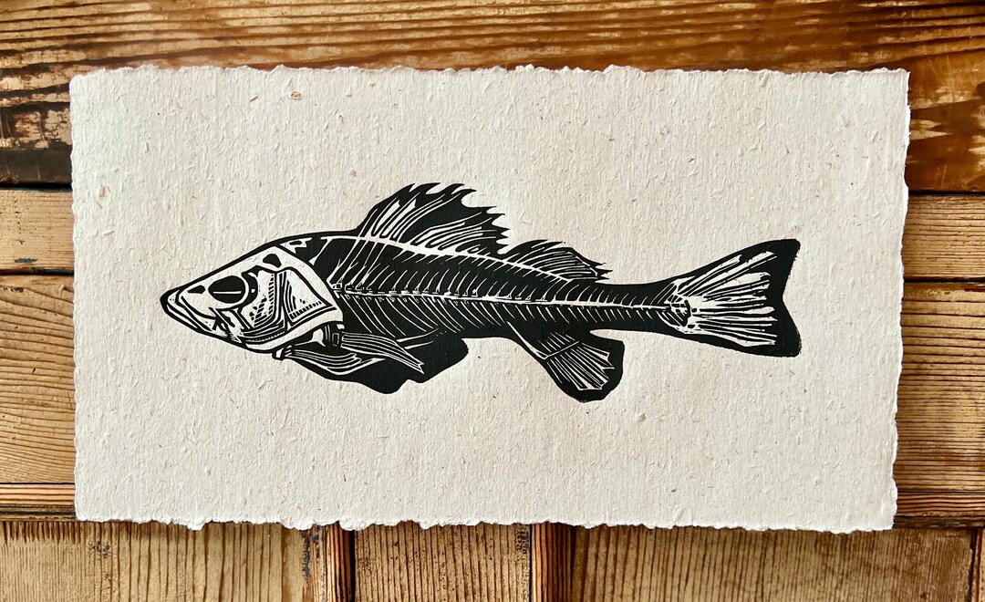 Perch Fish Skeleton Linocut Print on Recycled Cotton Rag Paper. - Etsy