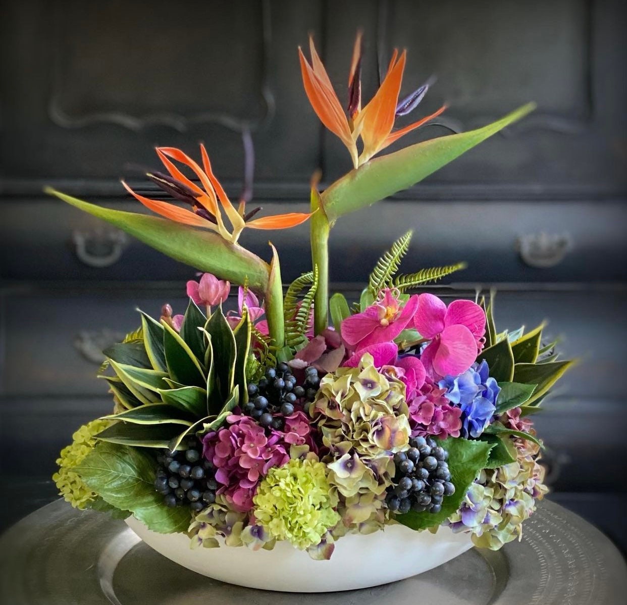 Aloha, Colorful Birds of Paradise Mixed Tropical Array