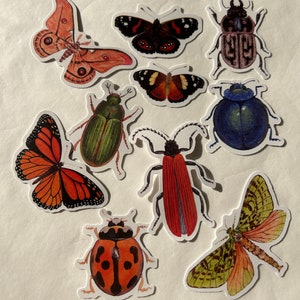 Aufkleber- Insekten Aufkleber, Schmetterlinge, Motten und Käfer, Marienkäfer Aufkleber