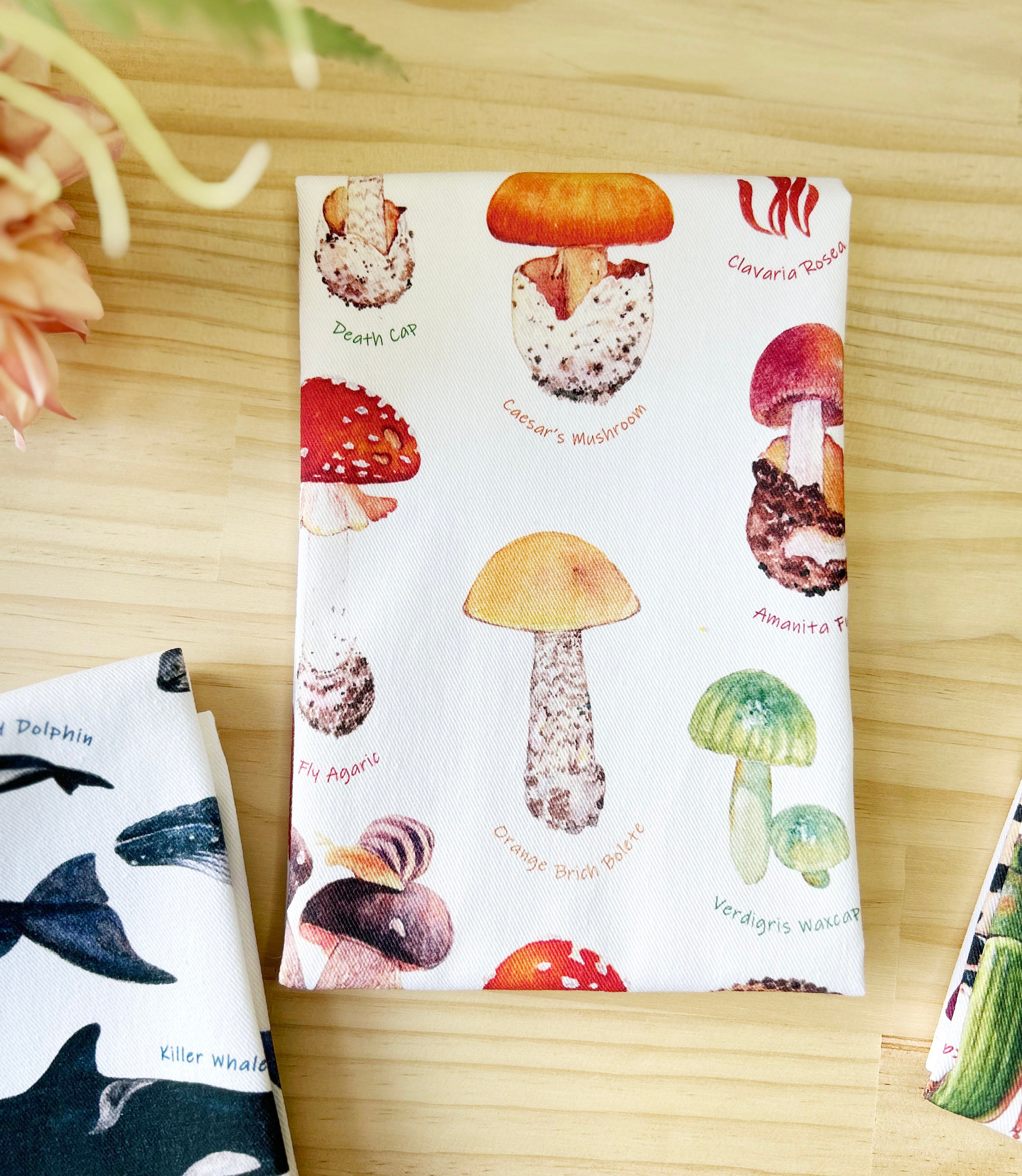 Cute Mushroom Kitchen Dish Towels Set of 2, Soft Absorbent Decorative  Hippie Witchy Kitchen Hand Towels Tea Towels Gifts for Kitchen Farmhouse  Holiday