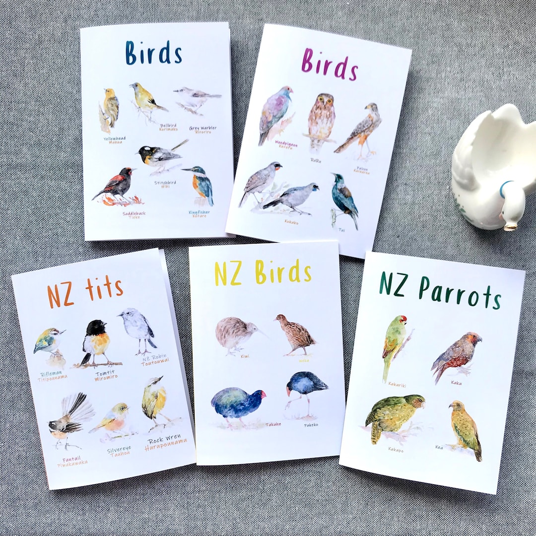 Greeting Cards New Zealand Birds With Envelopes Etsy