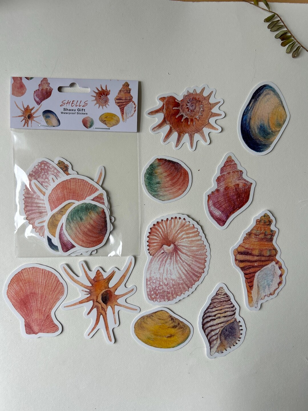 Shell Necklace Sticker Shell Stickers, New Zealand Shells - Etsy