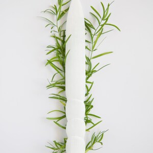 May include: A white, segmented, wooden tool with a rounded tip, surrounded by green sprigs of foliage.