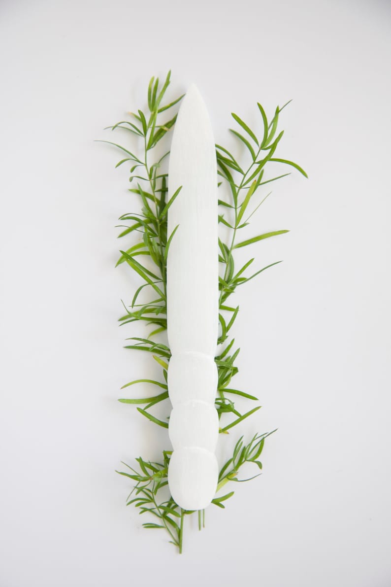 May include: A white, segmented, wooden tool with a rounded tip, surrounded by green sprigs of foliage.