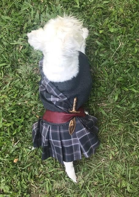 William Wallace Dog Kilt Medieval Kilt Ancient Dog Kilt Tartan