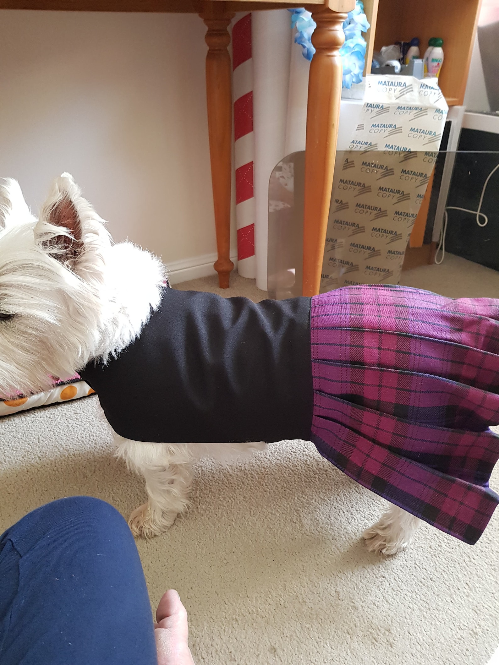 Derriere Dog Kilt Dog Kilt Pet Kilt Tartan Kilt for Dogs Etsy