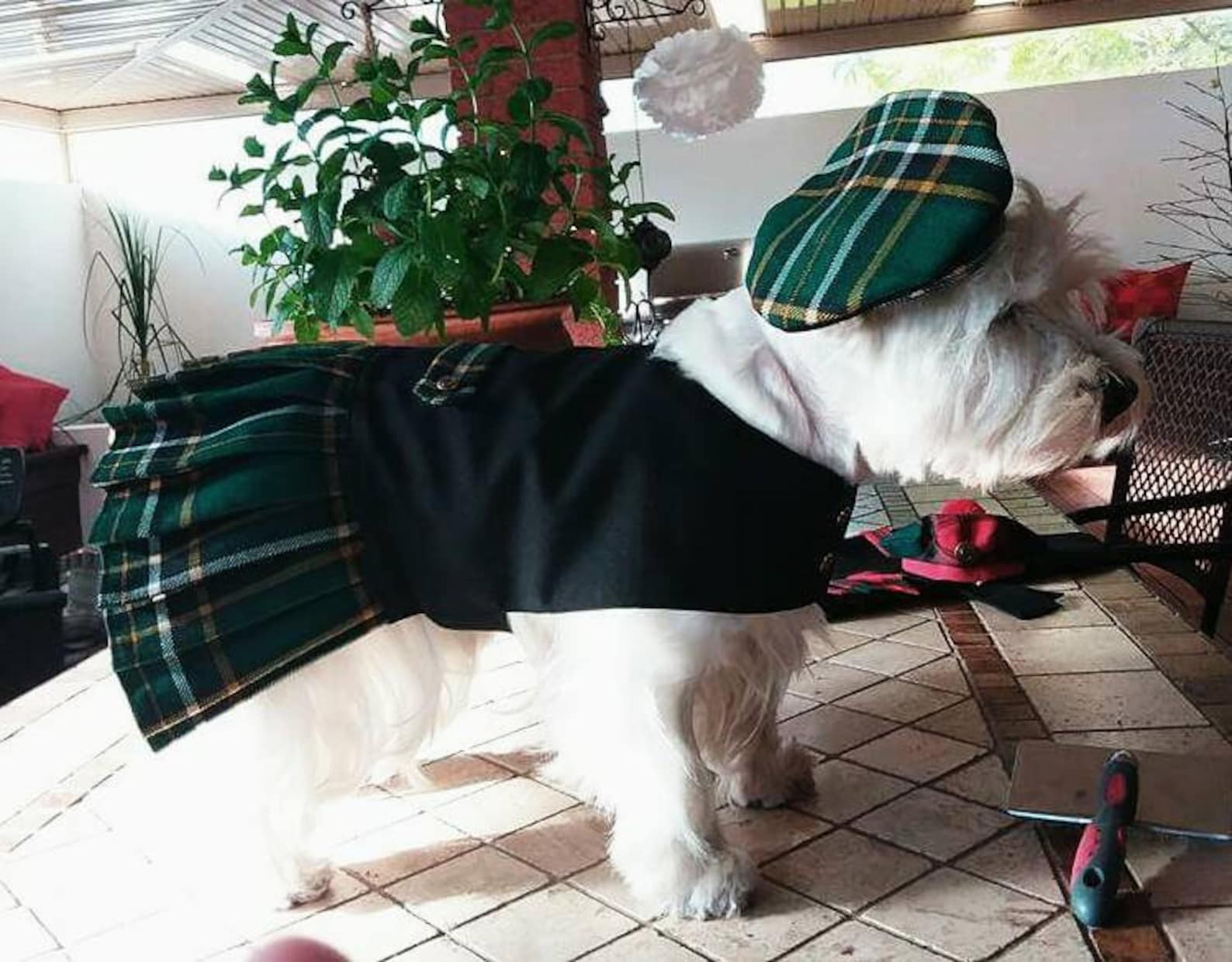 Derriere Dog Kilt Dog Kilt Pet Kilt Tartan Kilt for Dogs Etsy