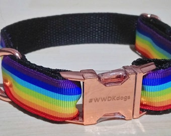 Rainbow dog collar, Rainbow movement dog collar