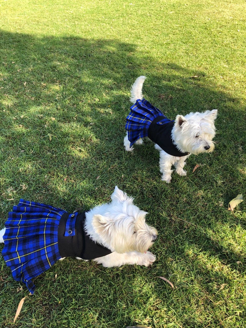 Derriere Dog Kilt Dog Kilt Pet Kilt Tartan Kilt for Dogs - Etsy