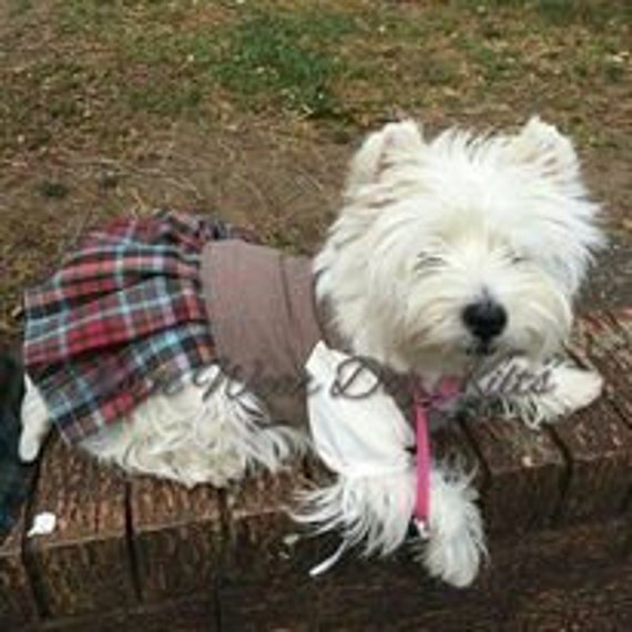 Kilts hotsell for dogs
