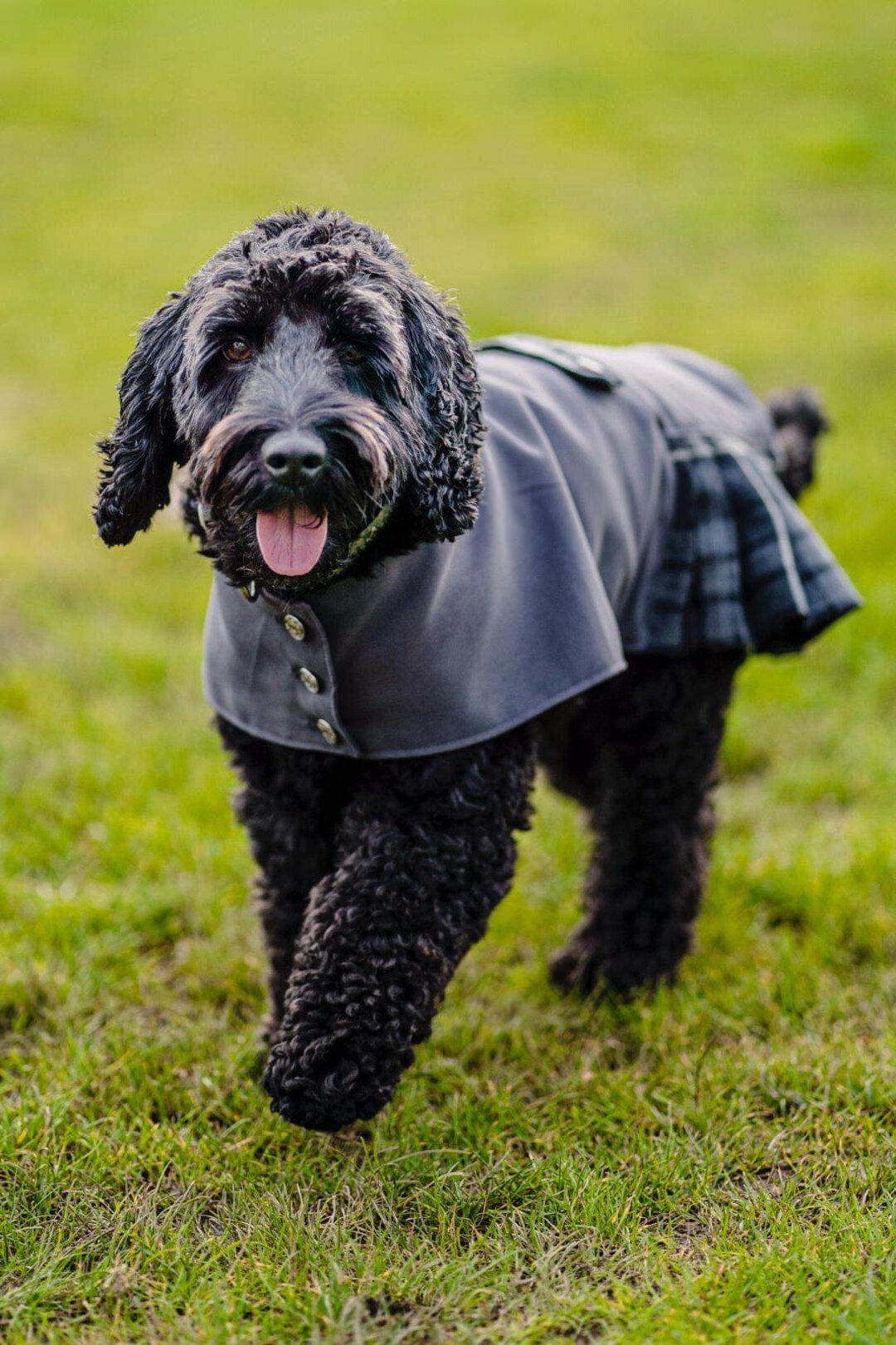 Side Pleat Dog Kilt Formal Pet Kilt Tartan Clothes Plaid Etsy