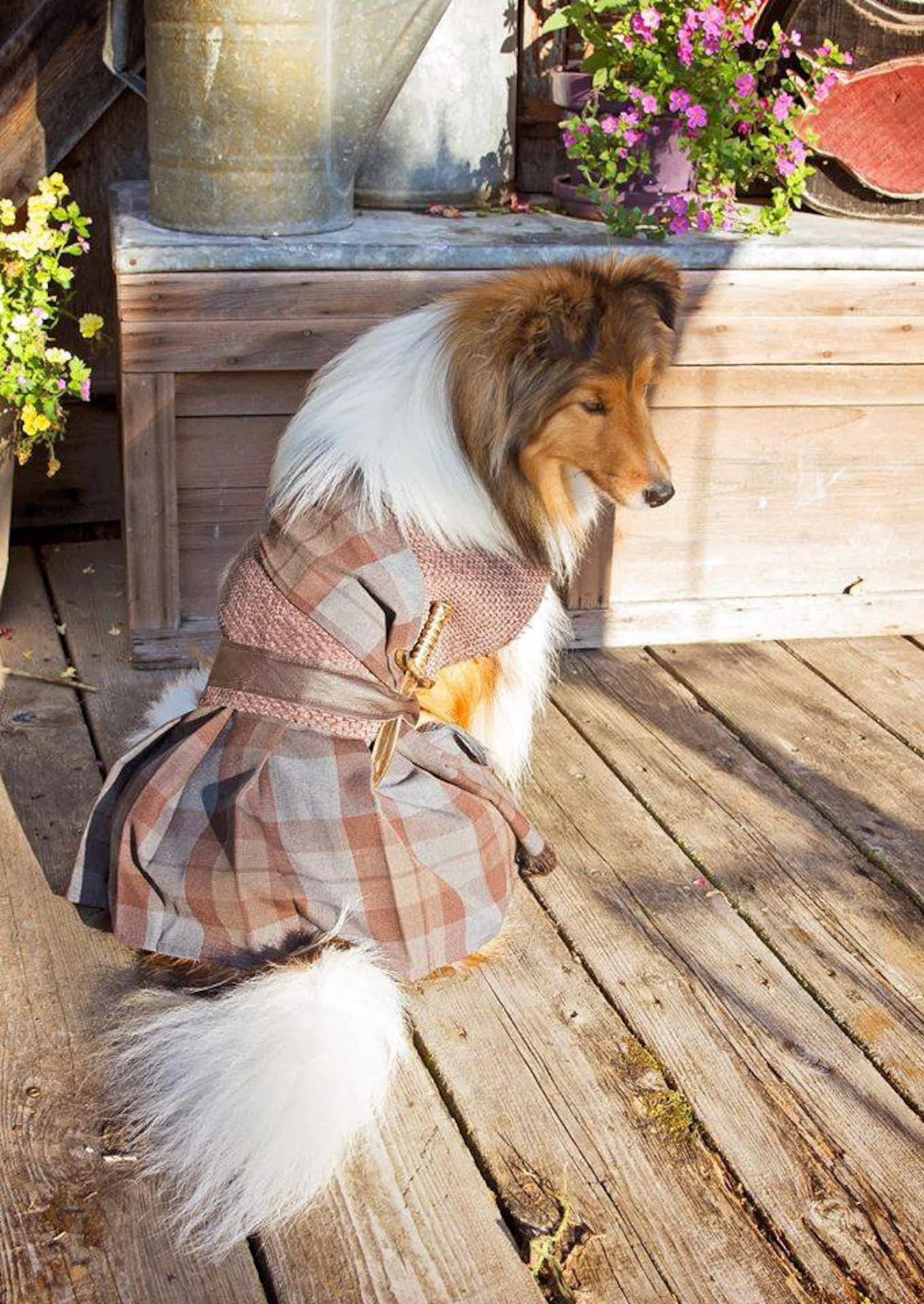 William Wallace Dog Kilt Medieval Kilt Ancient Dog Kilt Etsy