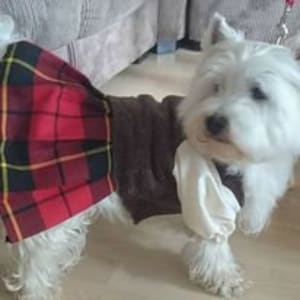 Marion Wallace dog kilt, Medieval kilt, Ancient dog kilt, Tartan kilt for girl dogs
