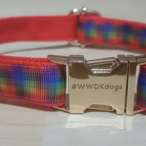 May include: A dog collar featuring a red base and a vibrant, rainbow-style pattern. The collar has a metal buckle with the text "#WWDkdogs" engraved. It also includes a gold-coloured metal ring for leash attachment.