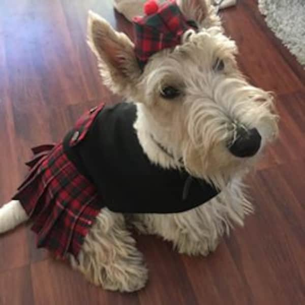 Derriere dog kilt, Dog kilt, Pet kilt, Tartan kilt for dogs, hat sold separately.