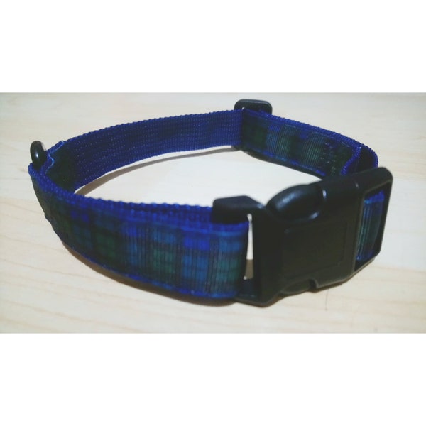 Tartan Dog Collar - Ancient Campbell, Plaid dog collar, Scottish dog collar