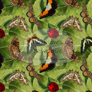 Bug on leaf seamless file | butterflies seamless|lady bug