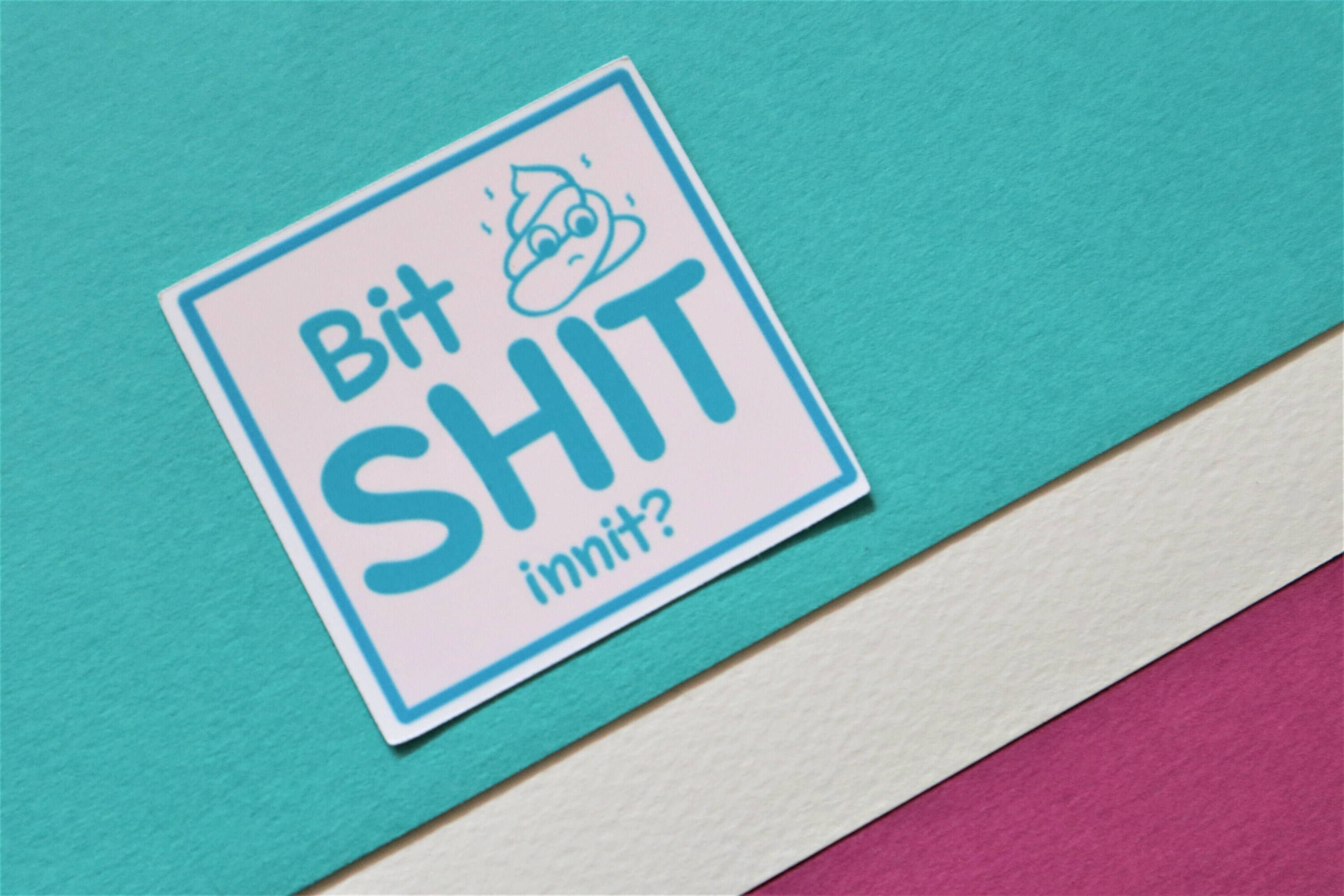 Bit Shit Sticker I Sassy Quotes I Chronic Illness I Mood - Etsy UK