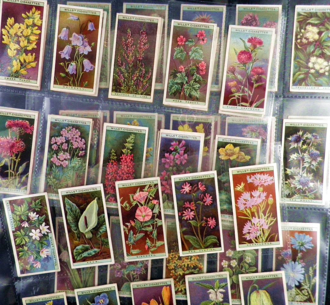 Wild Flowers Cigarette Cards by WD and HO Wills Set of 50 Issued in