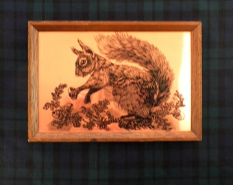 1970er-Jahre-Radierung auf Kupferplatte mit rotem Eichhörnchen und Eichenblättern von Etchmaster, Originalgröße 22,5 x 216 cm, hergestellt in England, Etching Art Nature