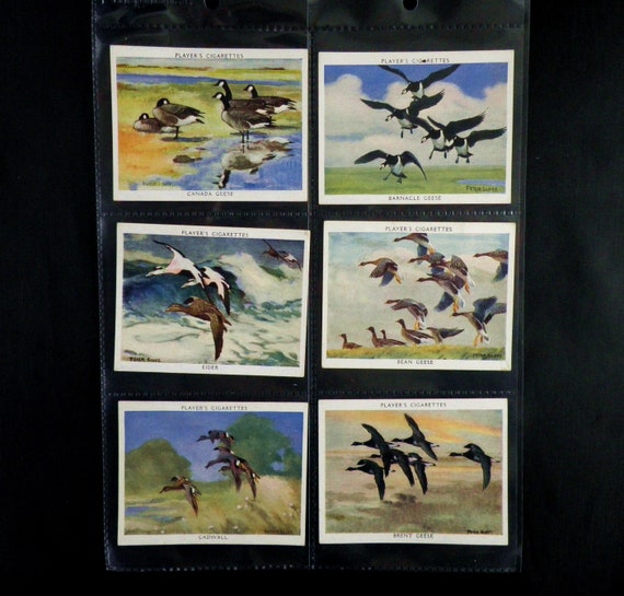 Wild Fowl ( Large ) Cigarette Cards by John Player Set of 25 Issued in 1937  Ornithology Birds Hunting Rare